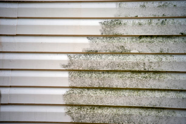 Best Fiber Cement Siding Installation  in Laurel Lake, NJ