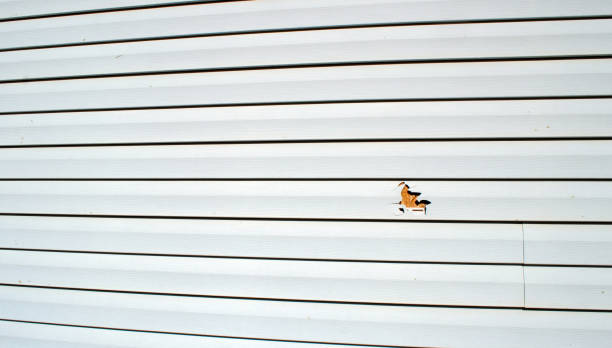 Best Siding Removal and Disposal  in Laurel Lake, NJ