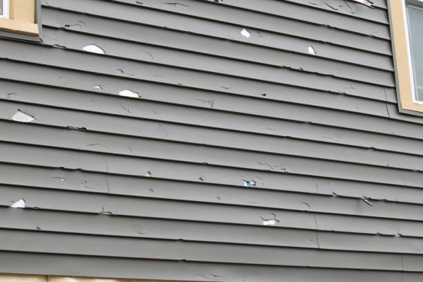 Affordable siding repair and maintenance services in Laurel Lake, NJ