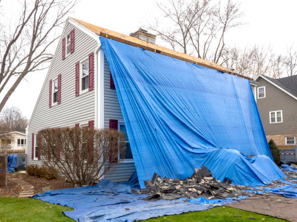 Best Residential Vinyl Siding Installation  in Laurel Lake, NJ